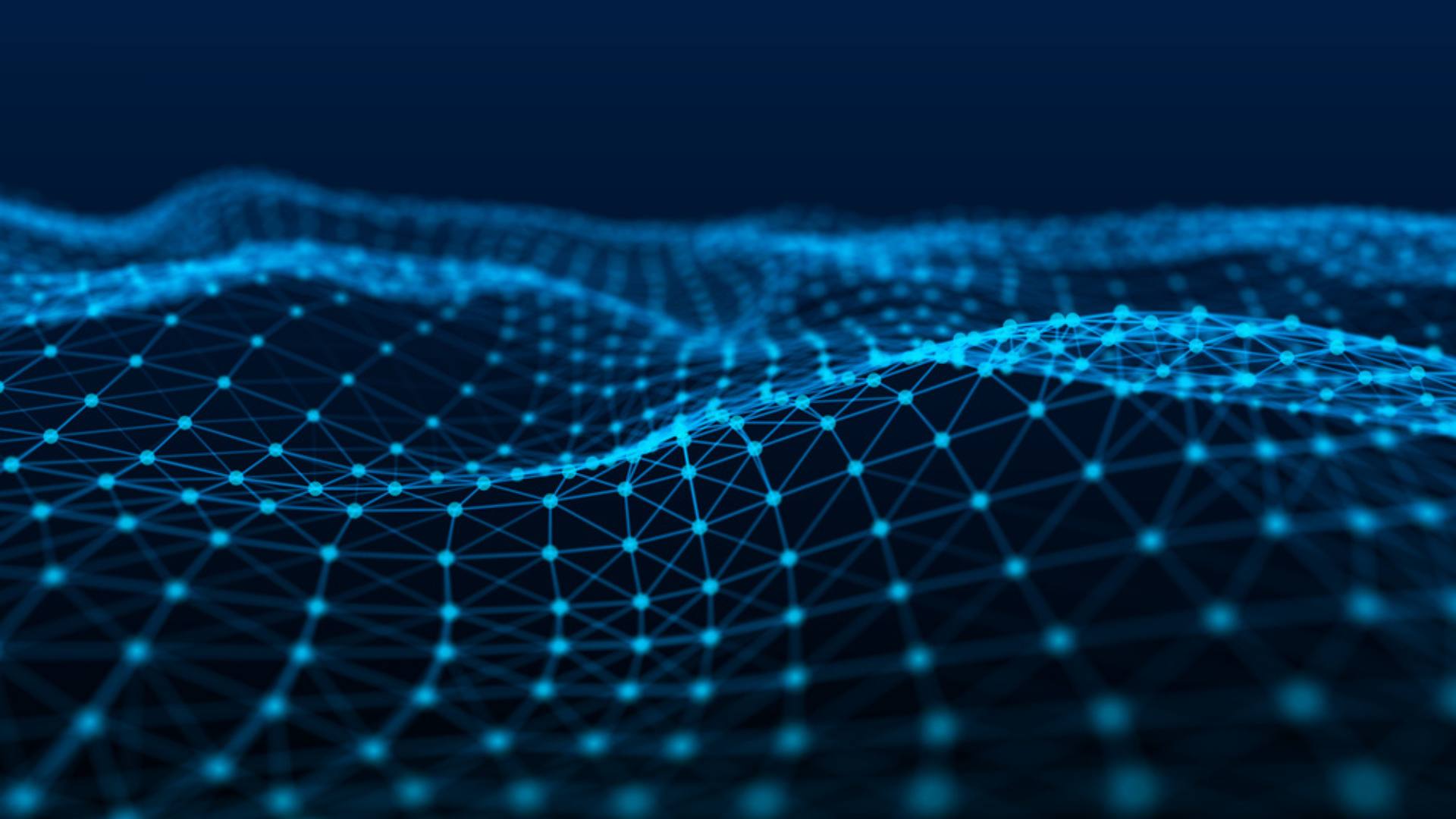 CX Wins with Qualtrics, UKG, and Tattle